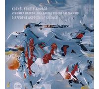 Different Aspects of Silence