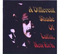 Different Shade of Latin N.Y. - Different Shade of Latin N.Y