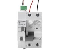 Différentiel super immunisé réarmable SI 2P 63 A 30 mA 6 Ka Type A. Interrupteur différentiel auto-réarmable super immunisé disjoncteur réarmement automatique rail DIN.