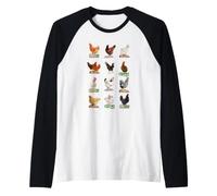 Différents Poulets Coq Ferme Poulets Races de Poules Fermier Manche Raglan