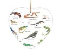 Différents types de cadeaux de mariage personnalisés avec imprimé lézard, décoration de Noël en acrylique pour jeunes mariés et couples