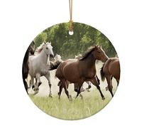 (Différents types de chevaux) Imprimer 7,3 cm Arbre de Noël Ornements Pendentifs en céramique 1 pièce Ornements de Noël ronds pour roman