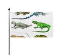 Différents types de drapeau lézard 0,9 x 1,5 m pour intérieur et extérieur, printemps, été, automne, hiver, drapeau de jardin avec œillets, drapeau de vacances double face, bannière pour décorations