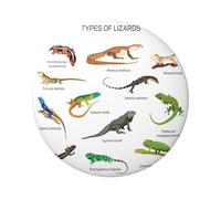 Différents types de lézard imprimé 6 cm rond en fer blanc badge imprimé sur un seul côté, parfait pour la décoration de style personnel et cadeau, taille unique, Métal