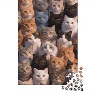 Difficulté élevée et intéressant Puzzle 1000 Pièces Beaucoup de Chats Puzzle en Carton Qualité Premium Puzzle Adulte Difficile Décoration Salon Cadeau 38x26cm/1000pcs