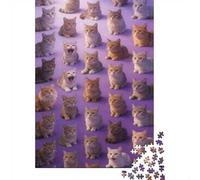 Difficulté élevée et intéressant Puzzle 1000 Pièces Beaucoup de Chats Puzzle en Carton Qualité Premium Puzzle Adulte Éducatif Décoration Salon Anniversaire 70x50cm/1000pcs