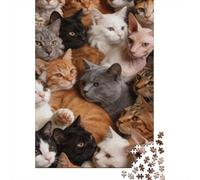 Difficulté élevée et intéressant Puzzle 1000 Pièces Beaucoup de Chats Puzzle en Carton Qualité Premium Puzzle Adulte Difficile Décoration Noël 38x26cm/1000pcs