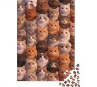 Difficulté élevée et intéressant Puzzle 1000 Pièces Beaucoup de Chats Puzzle en Carton Qualité Premium Puzzle Adulte Éducatif Puzzle Familial Anniversaire 52x38cm/1000pcs
