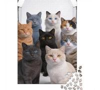 Difficulté élevée et intéressant Puzzle 1000 Pièces Beaucoup de Chats Puzzle en Carton Qualité Premium Puzzle Adulte Difficile Collection Noël 52x38cm/1000pcs