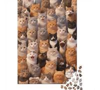 Difficulté élevée et intéressant Puzzle 1000 Pièces Beaucoup de Chats Puzzle en Carton Qualité Premium Puzzle Adulte Difficile Puzzle Familial Noël 38x26cm/1000pcs