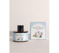 Diffuser Essential Oil 30ml-Fragrance Oil For Aromatherapy,Diffuser Refill Sf101/Sf101s,Home,Office,Hotel And Relaxation-Citrus Orchard & Spicy Lotus
