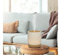 Diffuseur alesia + 3 huiles hivernales