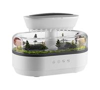 Diffuseur d'arômes goutte de pluie : diffuseur d'aromathérapie d'arbre, humidificateur d'eau, humidificateur d'air avec 7 lumières de changement de couleur | pour chambre à coucher, sa