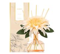 Diffuseur de Parfum 210ml, avec Fleurs Reed Diffuser Set, d'agrumes Parfum Ambiance Maison, Decoration pour Chambre, Salon, Salle de Bain, Bureau