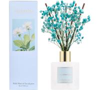 Diffuseur De Parfum D'ambiance Reed Avec 8 Bâtonnets Parfumés 200 Ml, Menthe Sauvage Et Eucalyptus, Naturel, Longue Durée, Diffuseur D'huile Essentielle Pour Salle De Bain, Étagère De