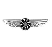 Diffuseur de parfum pour voiture, diffuseur d'aromathérapie pour voiture, clips de ventilation de parfum de voiture longue durée, ornements aigle volant, décoration intérieure créative,