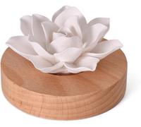 Diffuseur D'huiles Essentielles, Fleur En Plâtre Diffusion Naturelle Boîte À Parfum,Voiture Diffuseur Huiles Essentielles,Artisanat En Plâtre Élégant,Pour Voiture, Chambre, Salon Et Spa