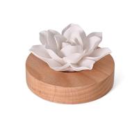 Diffuseur D'huiles Essentielles, Fleur en Plâtre Diffusion Naturelle Boîte à Parfum,Voiture Diffuseur Huiles Essentielles,Artisanat en Plâtre Élégant,pour Voiture, Chambre, Salon et Spa