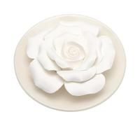 Diffuseur D'huiles Essentielles Pierre Diffuseur Pierre à Parfum en Plâtre dans à Parfum en Bois Diffuseur Passif Dhuiles Essentielles pour Le Salon la Salle de Bain et la Chambre