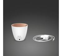 Stadler Form Z-001 Diffuseur d'Arômes Zoe Diffuse des Huiles Essentielles avec un Effet de Flamme Unique, pour une Aromathérapie Relaxante, Blanc