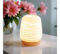 Diffuseur par chaleur douce calorya n°16