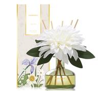 Diffuseur Parfum Maison, Reed Diffuser Set avec 7 Bâtonnets Diffuseur Parfum, Decoration pour Chambre, Salon, Salle de Bain, Bureau, 210ml