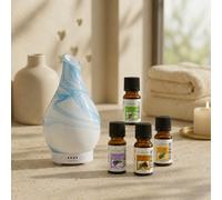Diffuseur yangtsé en verre + 4 huiles essentielles indispensables
