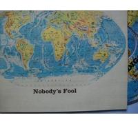 Diggers - Nobodys Fool [Import]