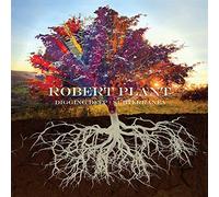 Robert Plant – Digging Deep: Subterranea – CD – Édition limitée
