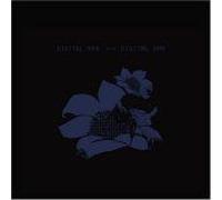 Digital Ash In A Digital Urn