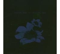 Digital Ash in a Digital Urn [Import allemand]