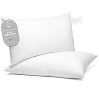 Digital Decor Lot de 2 oreillers de qualité hôtel 100% Coton, Trois Niveaux de Confort (Silver, Standard)
