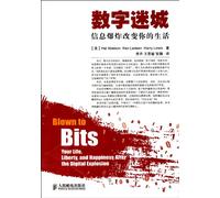 Digital Maze: The Information Explosion Is Changing Your Life (Chinese Edition)