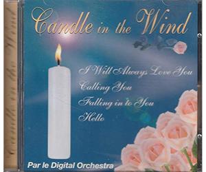 Digital Orchestra - Candle in The Wind