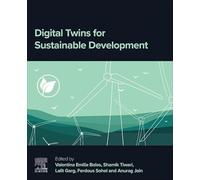 Digital Twins for Sustainable Development