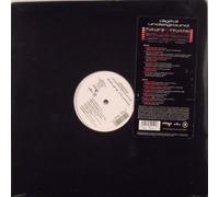 Digital Underground - Future Rhythm
