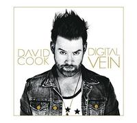 Digital Vein by David Cook (2015-05-04)