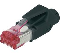 Digitus A-MO6A 8/8 HRS Fiche modulaire RJ45 CAT 6a, blindée, avec manchon anti-courbure A-MO6A 8/8 HRS mâle, droit Nombre