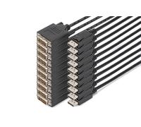 DIGITUS Câble Adaptateur DisplayPort - DP vers DVI-D (24 + 1) - 2.0m - 10 pièces - Full HD 1080p/60Hz - Noir