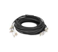 Digitus Câble Breakout Fibre Optique OM4 12 Fibres LC/UPC-LC/UPC 30m, U-DQ(ZN) BH, LSZH, 50/125µm, Perte 0.3dB, -20°C à 70°C