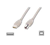 DIGITUS Câble USB 2.0 - 1,8 m - USB-A vers Type B - 480 Mbps - Câble de connexion pour ordinateurs, ordinateurs portables, hubs, imprimantes - Beige