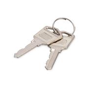 DIGITUS Clé de Rechange pour armoires de Charge DN-45000, DN-45002 & DN-45005 - Deux pièces - Argenté