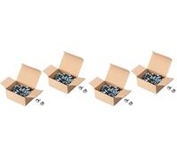 DIGITUS DN-19 SET-S - Vis M6 & écrous cage - Jeu de 100 pièces - Vis de montage pour armoire serveur, rack AV, armoire réseau 19 pouces / 10 pouces - Kit de montage - Argenté (Lot de 2)