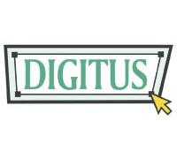 Digitus DN-31306 Armoire serveur de la série Unique Server-N - 800x1000 mm (LxP)