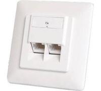 DIGITUS DN-9001-N - Prise - montable sur mur - CAT 5e - STP - RJ-45 X 2 - RAL 9010 RAL 9010 G