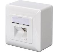 DIGITUS DN-9002-N - Prise pour montage en surface - montable sur mur - CAT 5e - STP - RJ-45 X 2 - blanc pur Blanc pur G