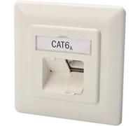 DIGITUS DN-9007-1 - Prise à montage encastré - CAT 6a - RJ-45 X 2 - RAL 9010 RAL 9010 G