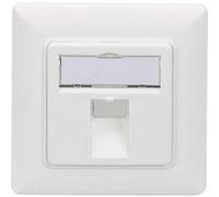Digitus Support Keystone DN-93811 1x Blanc