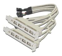 Digitus Lot de 2 Caches fente logement port USB 4x type A-2x10pin IDC F/F, 0.25m
