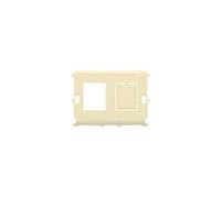 Digitus Professional - Plaque - 2 ports